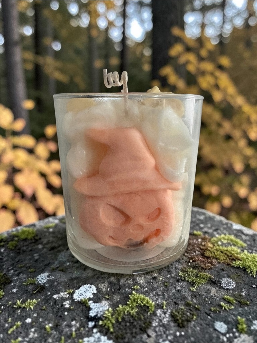 Autumn ambrette apricot soy wax 16 oz candle with witch pumpkin accent